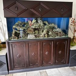 150 Gallon Fish Tank With Filtration System 