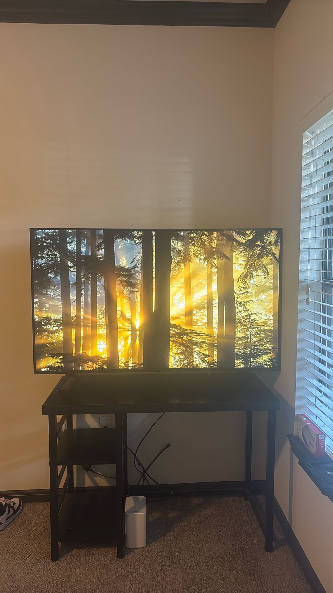 Selling 55 Inch Tv By Model Hisense….going For $200.00