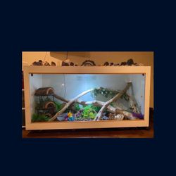 Reptile Enclosure 