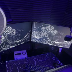 Asus 165hz Gaming Monitor & HyperX Armada 24.5" 240Hz Gaming Monitor