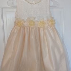 Wonderful Concert Dress!