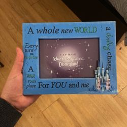 Disneyland Frame 