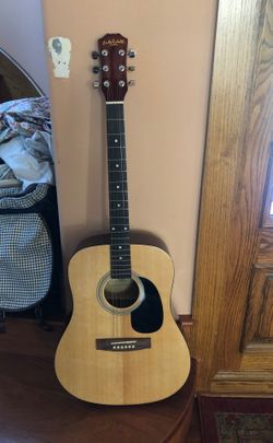 Carlo robelli guitar & guitar case