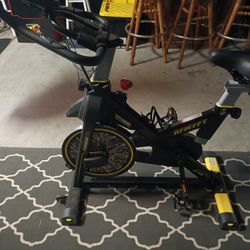 RFWFFT POOBOO D525DM Exercise Bike