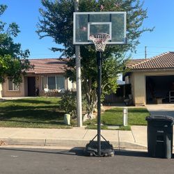 Basketball Hoop Lifetime