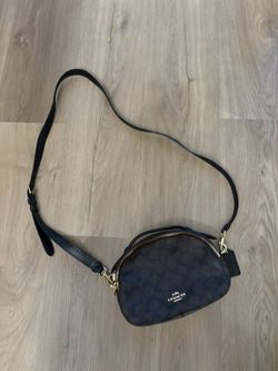 Coach Purses