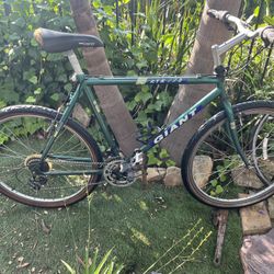 Giant ATX 770 Mountain Bike