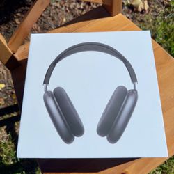 Gray Apple Headphones (Send Best Offer)