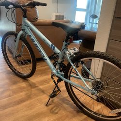 Granite Huffy Bike