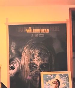 The Walking Dead Poster