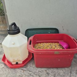 Chicken Food And Water Feeder 