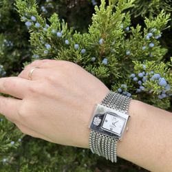 Paolo Watch Designed By Paolo Gucci. PG876WSIP.  Japan Movement. Quartz. Women’s