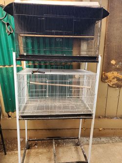 Bird Cages