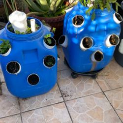 Strawberry Pot