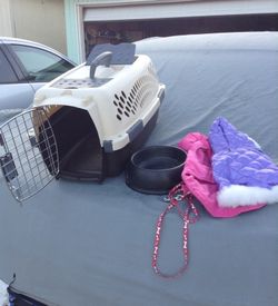 Jaulita para perro chico