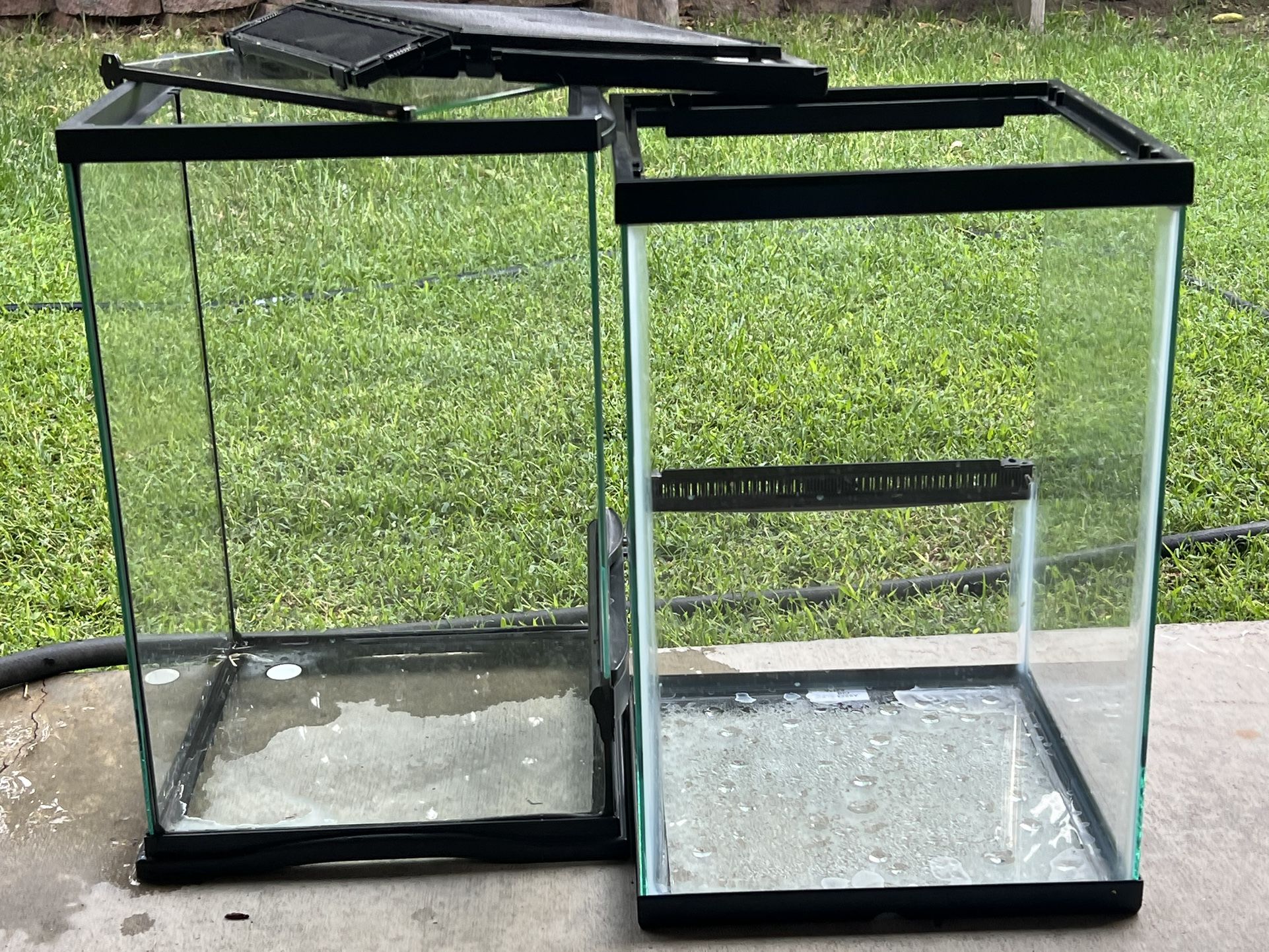 Reptile Terrarium