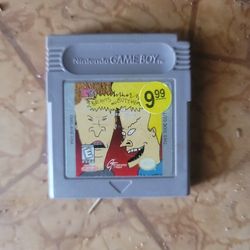 Beavis And Butthead Gameboy Game