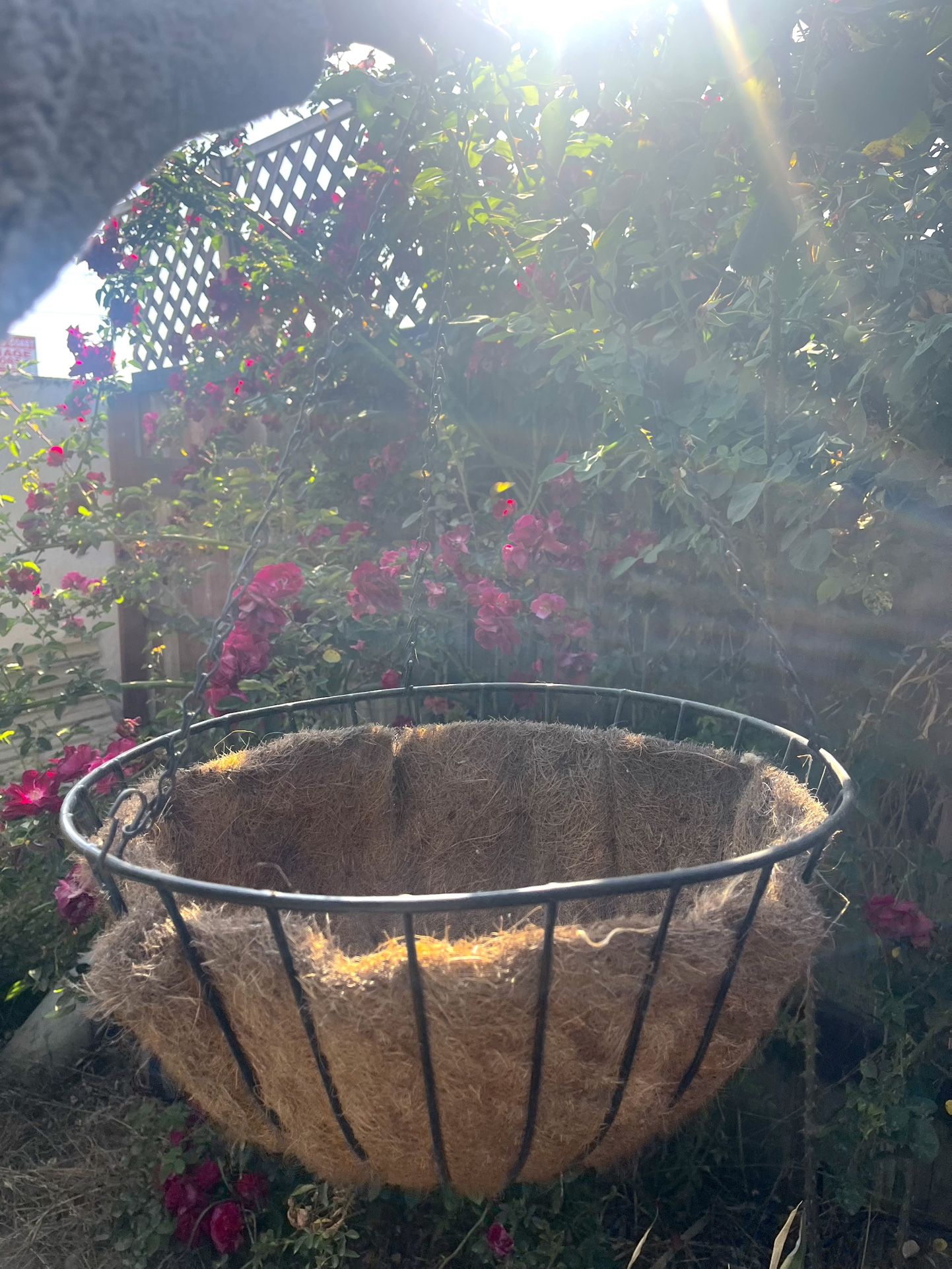 Cocoa Metal Hanging Baskets