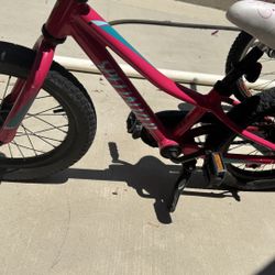 16” Specialized Bike 