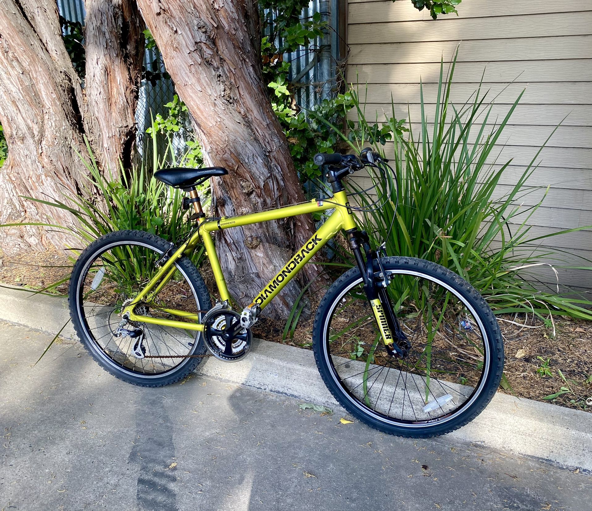 Diamondback spinner bike hotsell