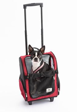 Snoozer dog carrier and car seat