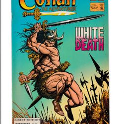 CONAN THE ADVENTURER #02 (1994) RAFAEL KAYANAN | DIRECT EDITION