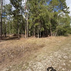 Land For Sale - Florida 