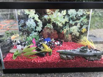 Aquarium fully completed value over 100$