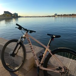 Specialized Rockhopper 29 Large Aluminum 