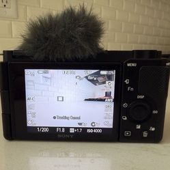 Sony Mirrorless Camera