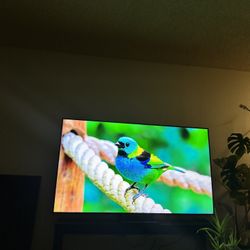75” Samsung 4K QLED 