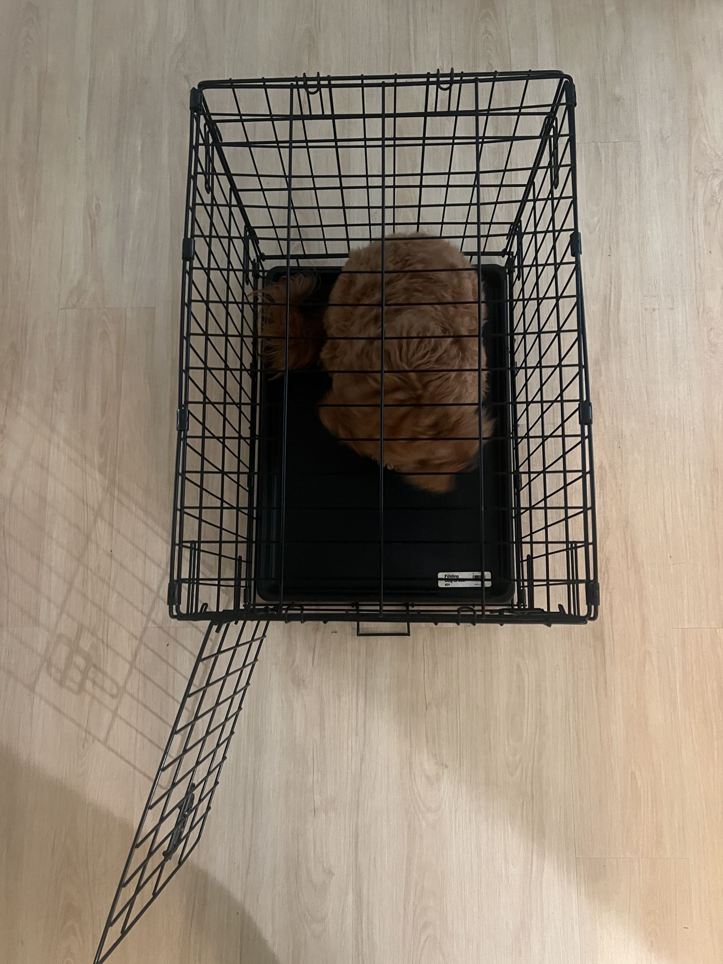 Dog Crate 