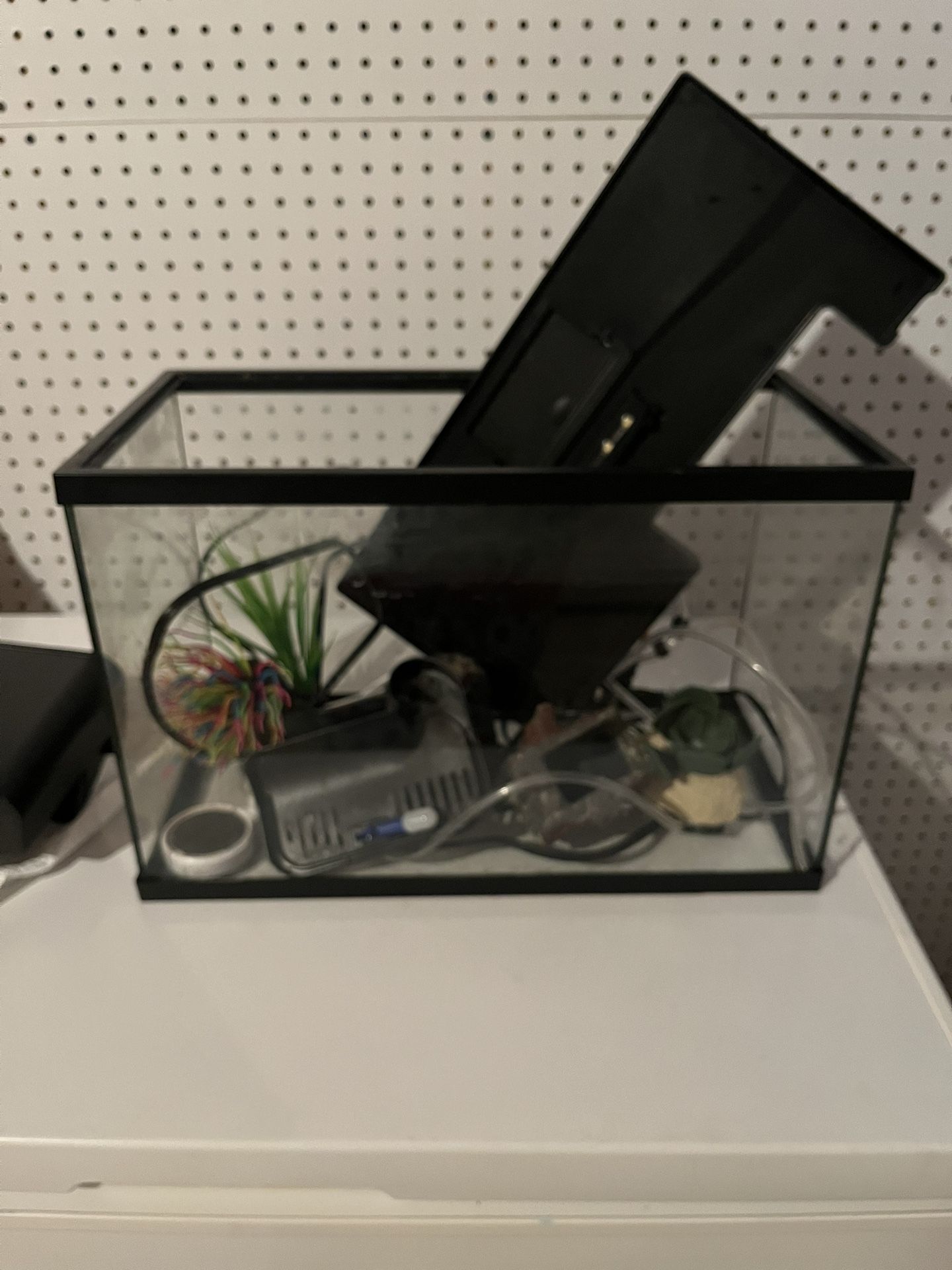 5 Gallon Fish Tank With Extra Supplies