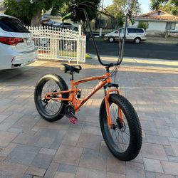 Bike With Fat Tires