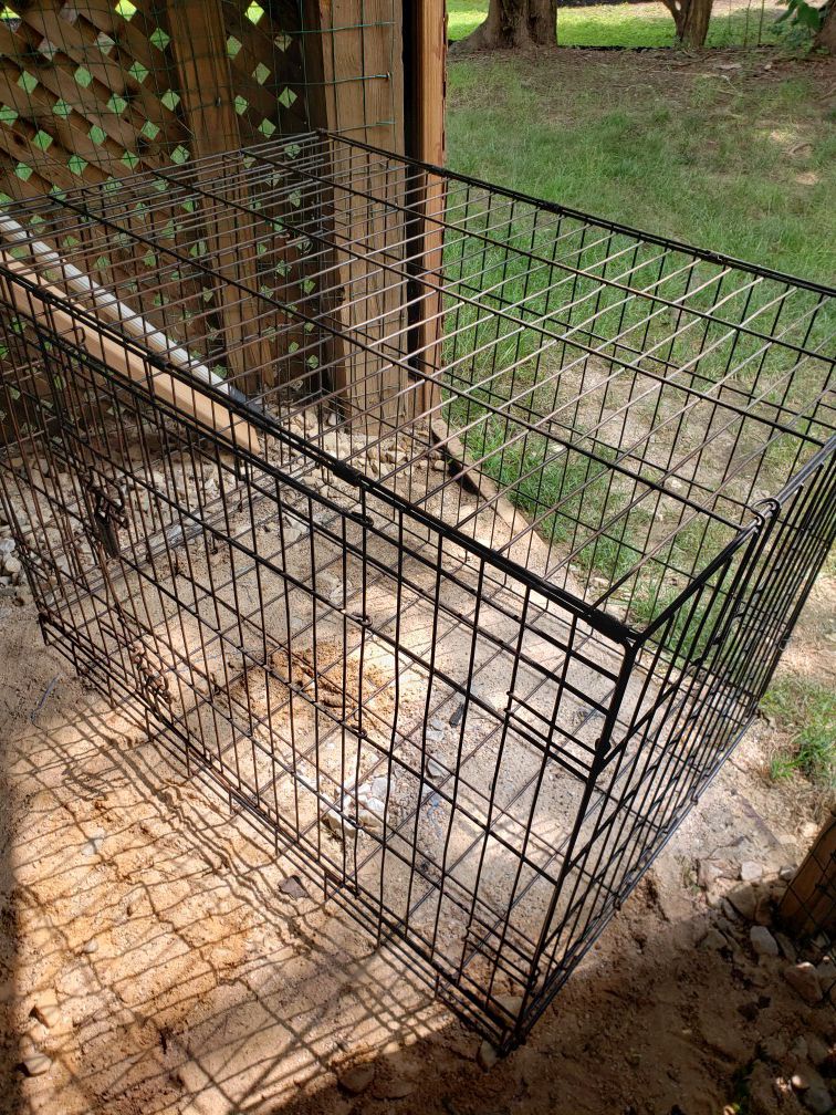 Dog crate large size and more stuff
