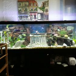 125 Aquarium 