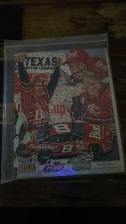 Dale Earnhardt jr and Dale senior