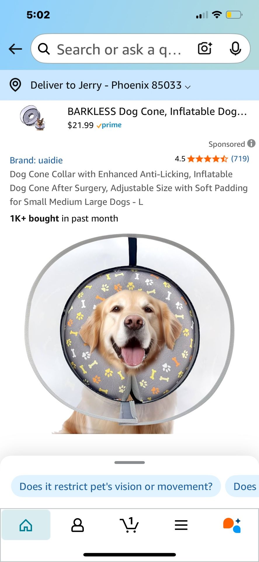 Dog Cone Collar