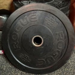 2x25 Pound & 2x45 Pound Rogue Fitness Rubber Plates 
