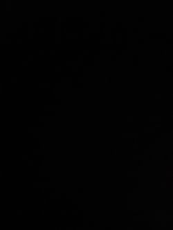 Who would wanna trade zee cranks for 32t deores