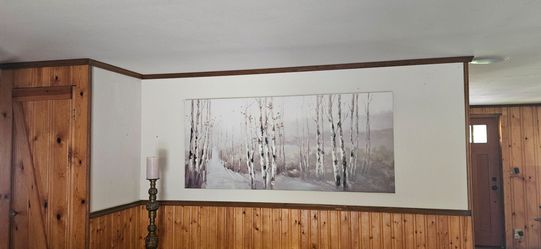 Large Birch Picture