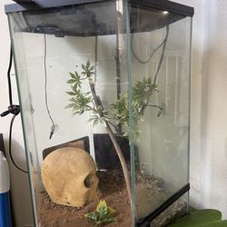 Terrarium and Extras