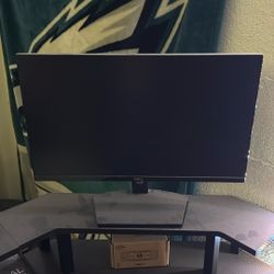 Dell Monitor 