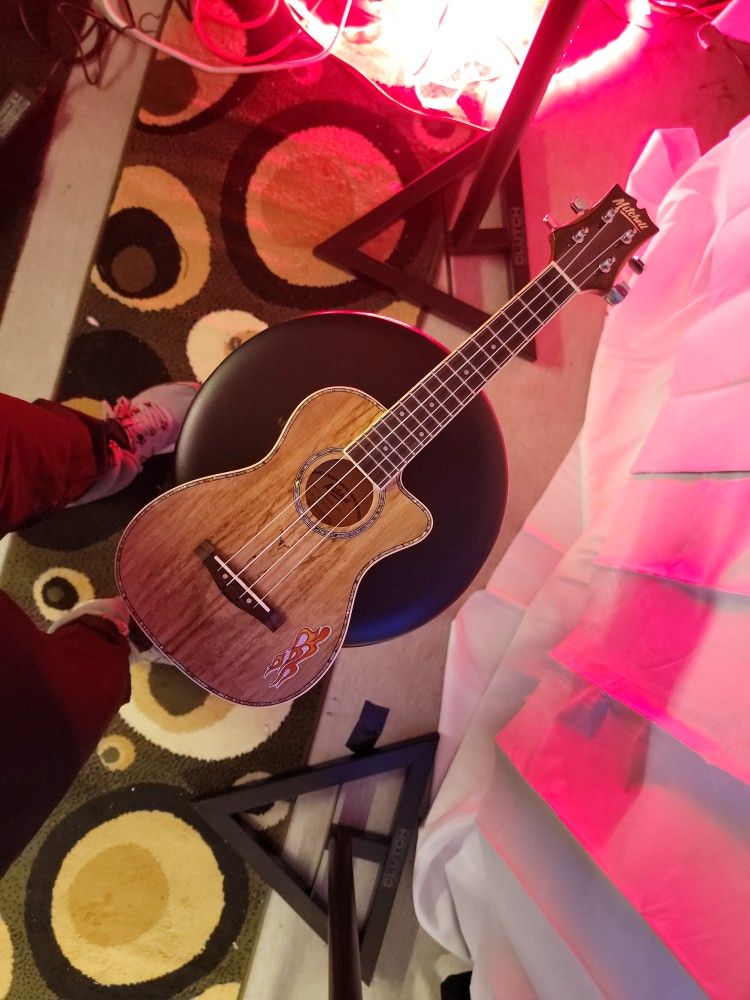 electric ukelele!