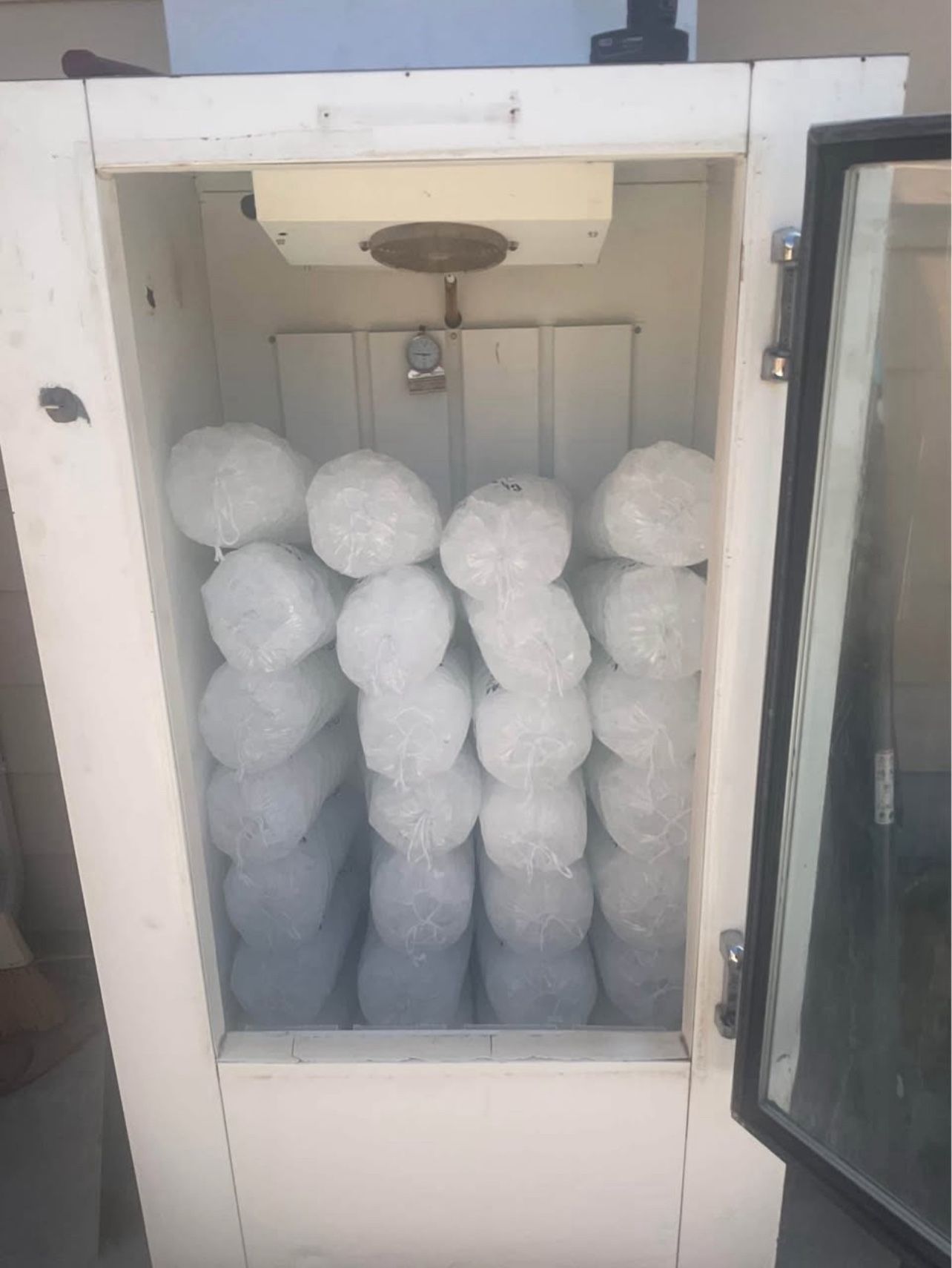 10 Pound Bags Of Ice