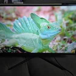 32" 1440p 165hz Monoprice Dark Matter Gaming Monitor Perfect Shape Like NEW