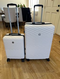 Luggage and carry on