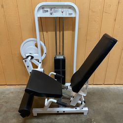 Paramount Commercial Seated Leg Extension - Great Condition! Gym Equipment 
