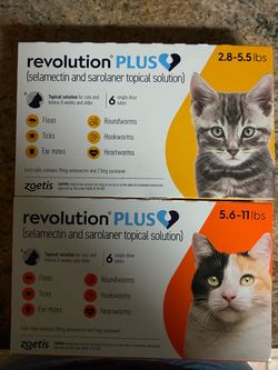 Revolution Plus Cat Flea Treatment 2-Pack