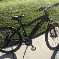 Electric Bike